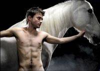    "Equus"