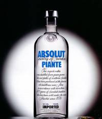 ""   Beefeater   Absolut    9,24  