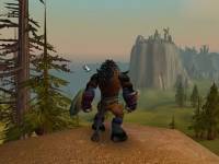  World of Warcraft    2008 