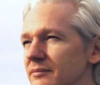     Wikileaks  