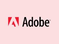 Adobe Systems Inc.    