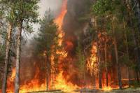 В Сибири за минувшие выходные втрое выросла площадь пожаров