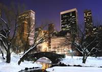 В Центральном парке Нью-Йорка компания подростков провалилась под лед, делая селфи