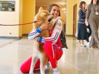 Алине Загитовой вручили щенка акита-ину, доставленного из Японии