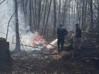  В трех регионах Сибири из-за лесных пожаров ввели режим ЧС